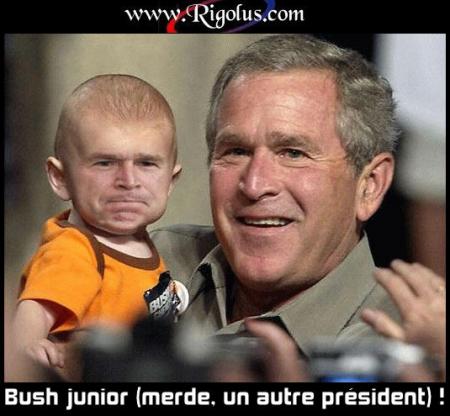 bush